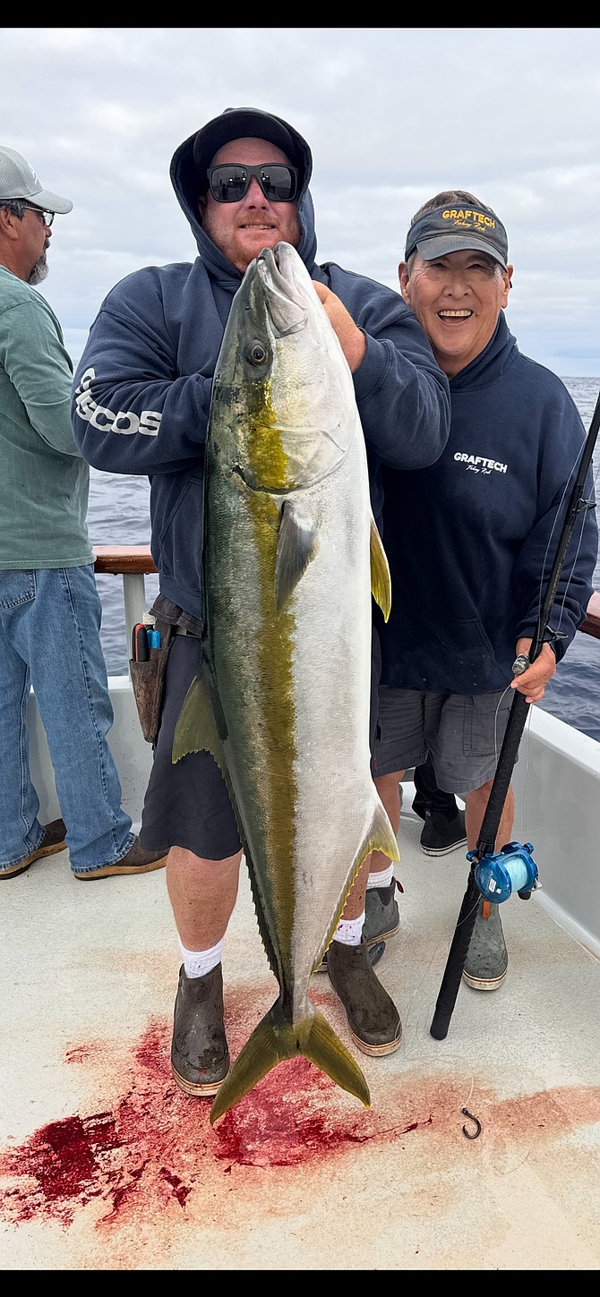 Solid yellowtail caught down the coast during the Independence 8-day run.