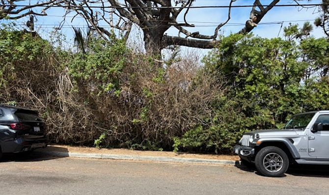Stratford Court: High, dry hedge, moderate first responder access. (From July 7 city council agenda)