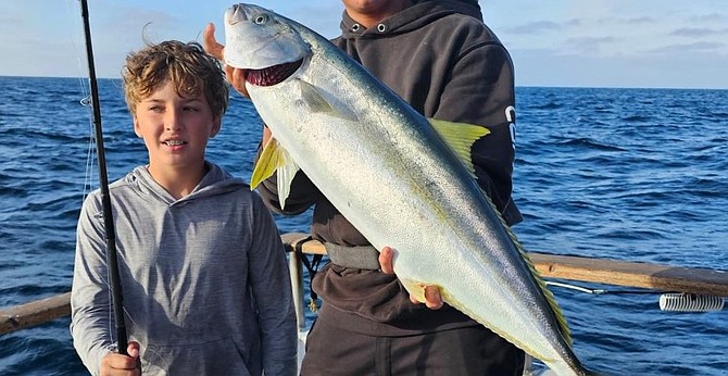 Young angler with a solid yellowtail caught while fishing aboard the Tribute this past week.