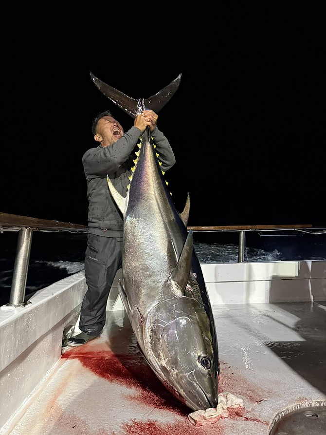 Super beefy 200-pound-plus class bluefin tuna caught during the Searcher's 3-day run to the tuna grounds.