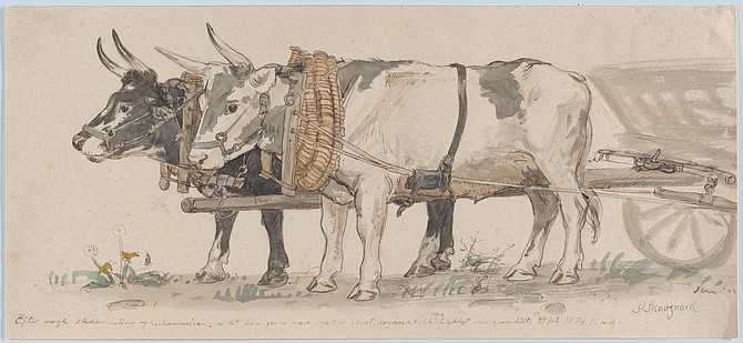 Two Oxen Pulling a Cart, drawing, Peter Christian Thamsen Skovgaard