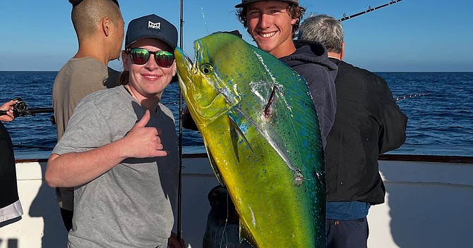 This brilliantly colored dorado caught within one-day range aboard the Old Glory was the only one reported by the ½ to 3-day fleet this past week.