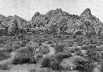 Anza-Borrego Desert. The Spanish hated the desert. For them it was a vision of Hell.
