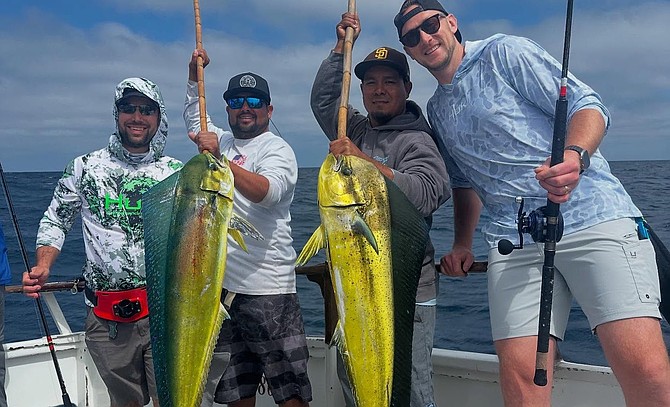 A nice pair of dorado caught aboard the Sea Adventure 80 during their 1.5-day offshore trip.