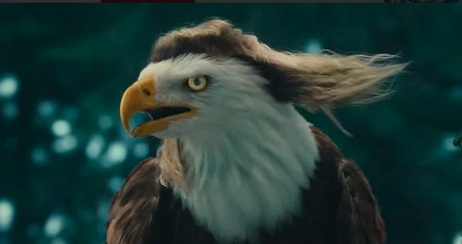 The eagle from that Kawasaki ad readies himself for the upcoming Mullet Contest at the third annual Bringin' Down the Neighborhood party.