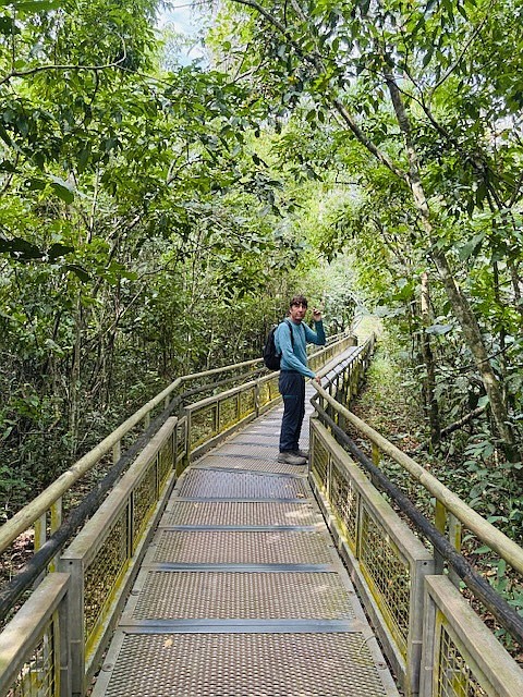 Kilometers of catwalks