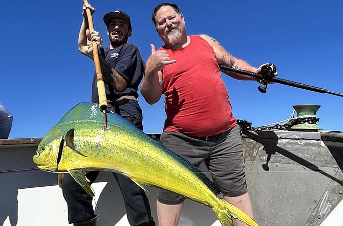 Brilliantly colored dorado caught aboard an early October 1.5-day trip