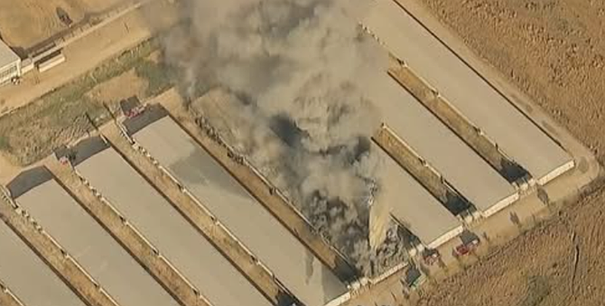 In 2024, fire destroyed a building housing 70,000 chickens.