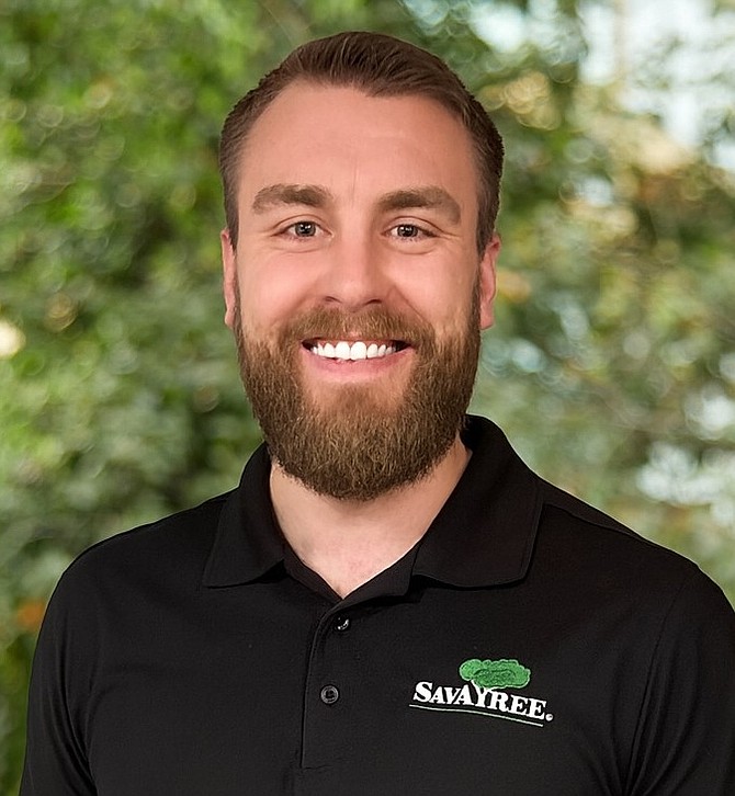 SavATree's Erik Lindberg says that the dotted paropsine poses a unique threat