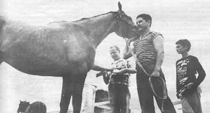 The USDA controls the movement of horses through the backstretch stalls at Caliente.