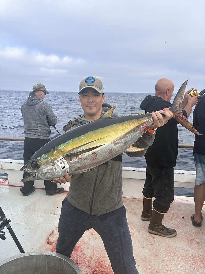Yellowfin tuna caught aboard the Tribute. They slowed a bit the week previous, but turned on again this past week within 3-day range