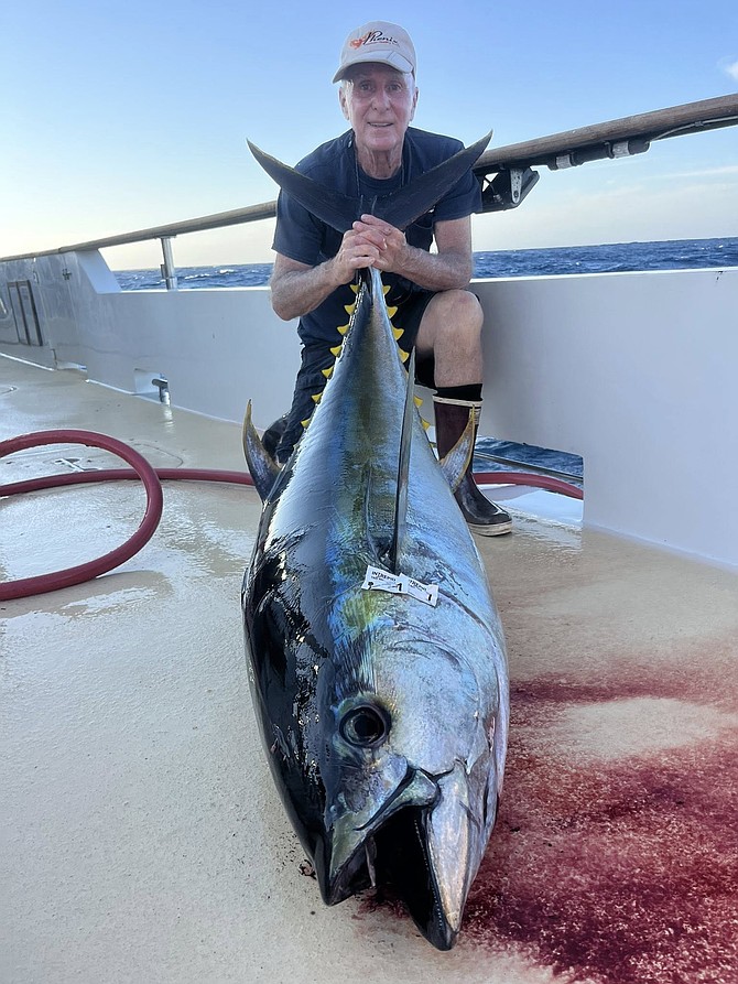 Larger yellowfin are biting very well off the southern Baja coast. This monster was picked up during the Intrepid's 11-day run while fishing near Alijos Rocks