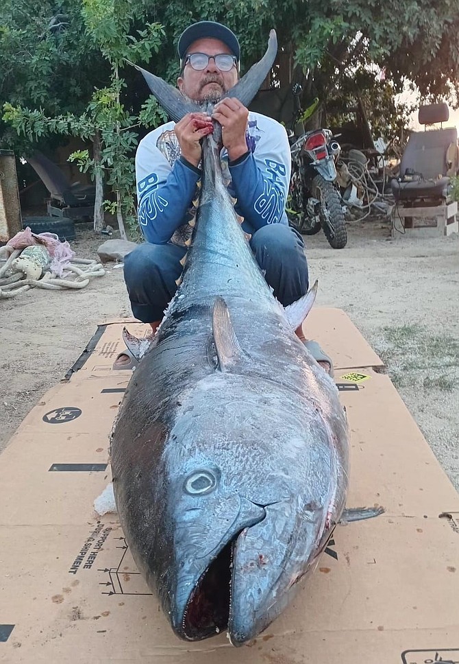 Bahia Asuncion friend Luis Cinco with a 227-pound bluefin tuna picked up on the troll while out with his brother Edgar fishing near San Pablo Canyon