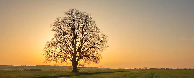 Still from Prairie Prophecy