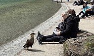 photo thumbnail