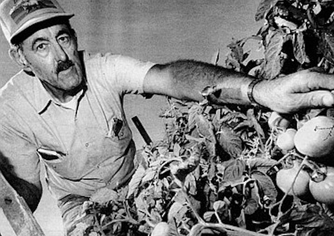 Al Steindorff “works on the premise of feeding the soil rather than feeding the plant.”