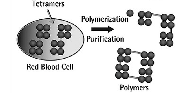 How Polyheme is made