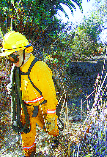 "Next thing you’ve got a palm tree burning and all the brush burning and the fire department has to respond and they have to drag the hoses all the way in."