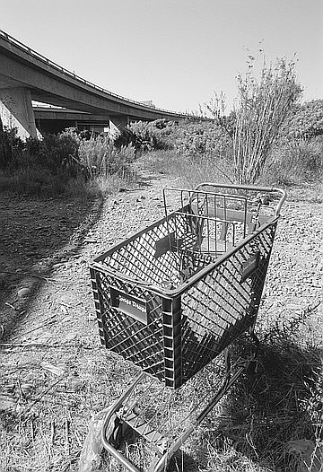 The river has largemouth bass and green sunfish, as well as shopping carts and Styrofoam containers.