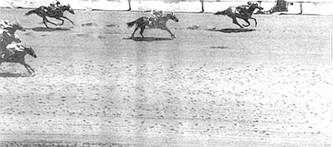 Few U.S. bookmakers will accept a bet on any horse running at Caliente. - Image by Jack Yon