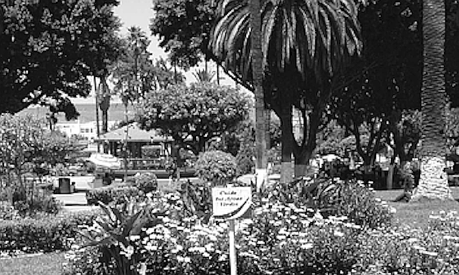 "All the men who work at Real del Mar have different names for the plants. One guy from one state will call a plant one thing, a guy from another state will call it something else."