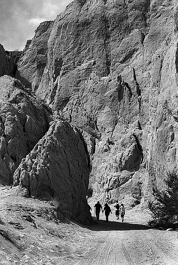 Badlands. "To me, this is one of the many really outstanding places in San Diego County," Schad said.