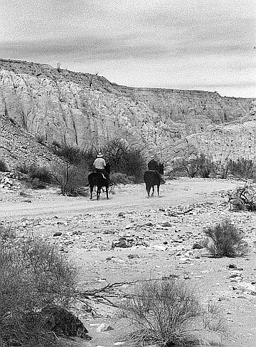 Large areas of ground had taken on the appearance of cracked pottery, and we got an even greater sense of how water and wind and time had come to contour this unusual land.