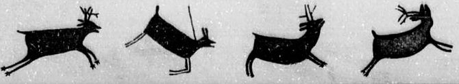 After several hours, Arturo halted the group and, securing the mules to trailside scrub, led us down a short path to a rocky grotto where a small collection of deer and mountain sheep had been painted.