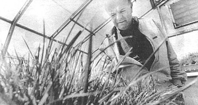 Victor Gibeault with turf samples. "California is the second most urbanized state after New Jersey, with 93 percent of the population of 32 million living in urbanized areas."