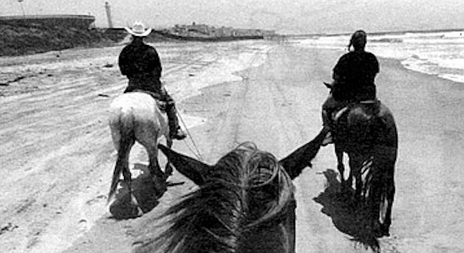Along Imperial Beach surf. This is not horse country the way Del Mar is horse country. - Image by Sandy Huffaker, Jr.