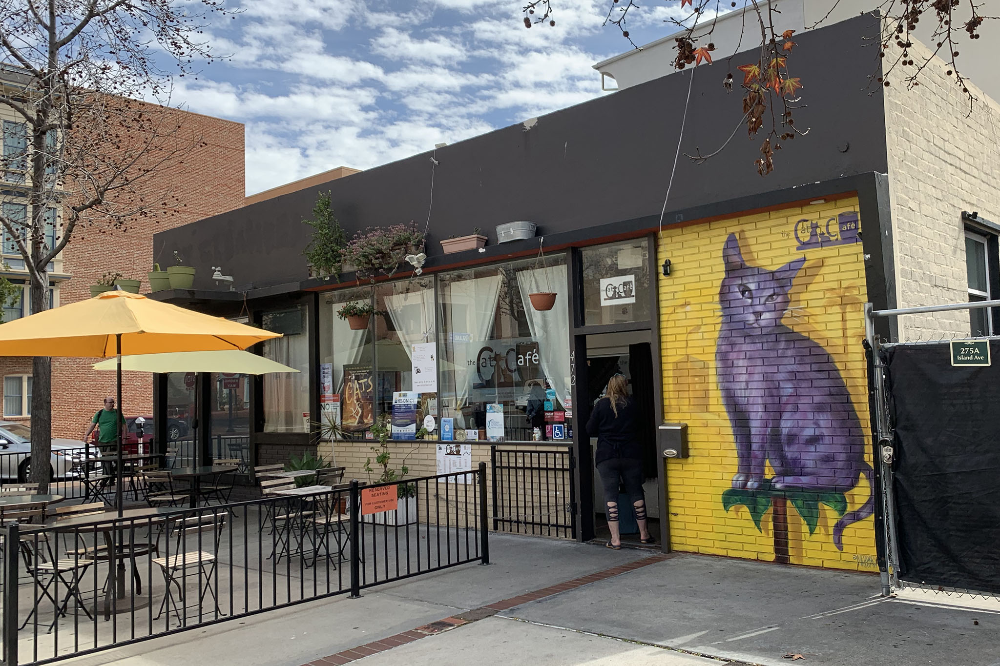 The Cat Cafe San Diego Reader