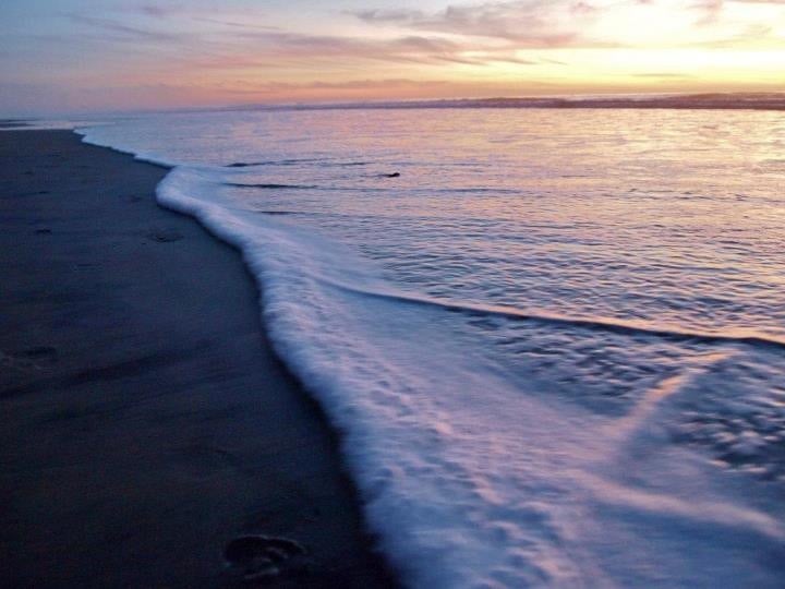 San Diego Moonlight Beach