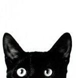 tish's avatar