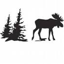 Moose's avatar