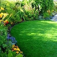 artificialturf's avatar