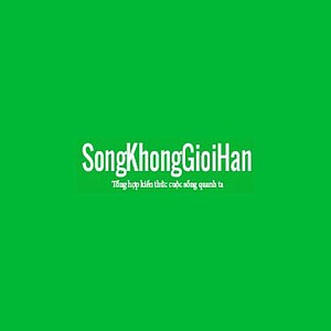 songkhonggioihan's avatar