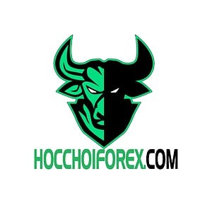 hocchoiforex's avatar