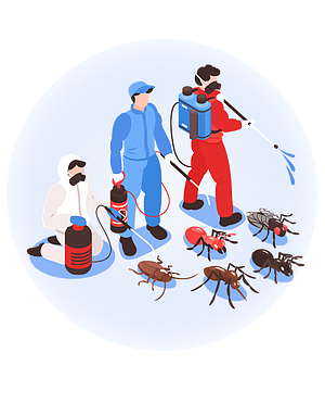 pestcontrolerskineville's avatar