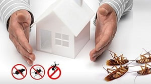 pestcontrolsballarat's avatar