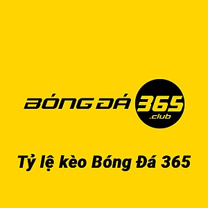 tylekeo365club's avatar