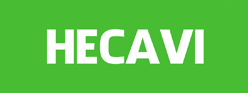 hecavi's avatar