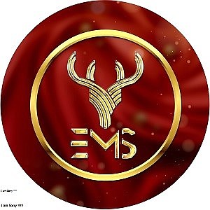 marketingems's avatar