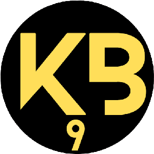 kbergetar9's avatar