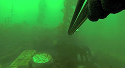 A first-person view of free diving to Tombstones, an underwater memorial off the coast of La Jolla for free divers who have died.