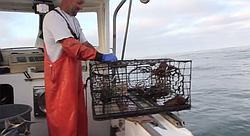 Shad Catarius talks about fishing for lobster off the coast of San Diego.