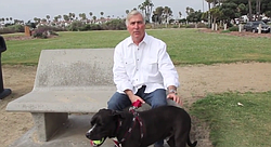 Tom Campbell talks about life with Webster, his beloved pit bull.