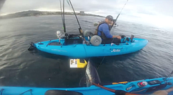 We caught this beautiful 100 pound mako off our kayaks in  La Jolla last week.