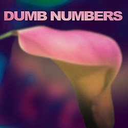 Official Dumb Numbers video, directed by David Yow