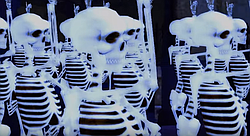 There are a couple little videos of skeletons dancing to Saint-Saëns *Danse Macabre*. They’re not great but it’s Halloween so what can we do?