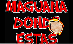 El Teacher del Rock song about La Maguana
